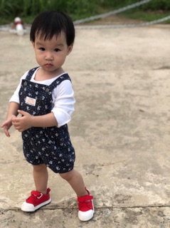 Yếm da cá