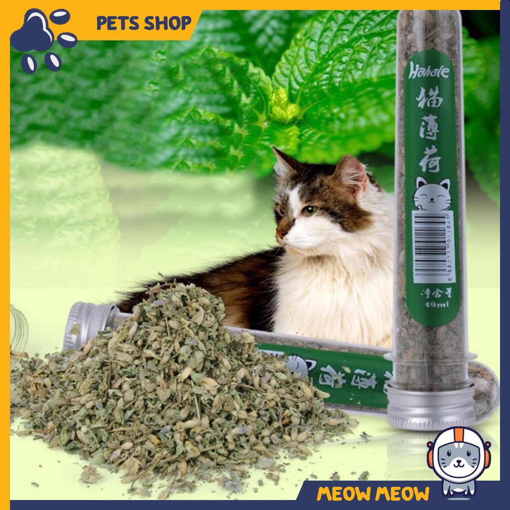 Cỏ mèo khô hương bạc hà cho mèo | Ống 10gr | Catnip cỏ mèo khô cho mèo.