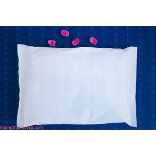 01 TÚI ĐÁ GEL ĐÁ KHÔ HT ICE PACK – 1KG (17x25cm)