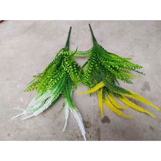 cụm điểm đuôi chồn