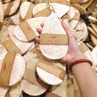 MIẾNG RỬA CHÉN XƠ MƯỚP NHỎ