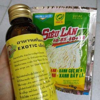 Kích rễ Exotic Thái Lan