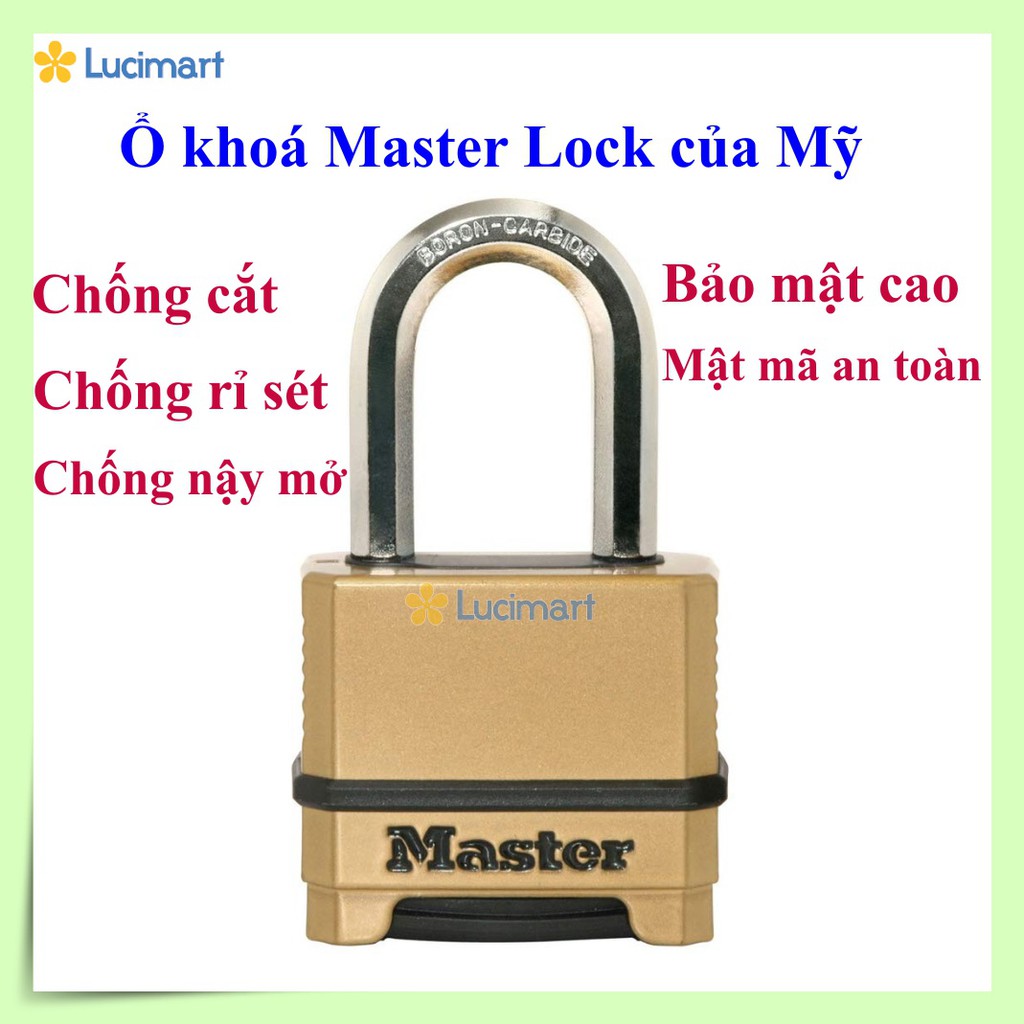 Ổ khóa chống cắt, dùng mật mã, hàng từ USA, Master Lock  M175XDLF