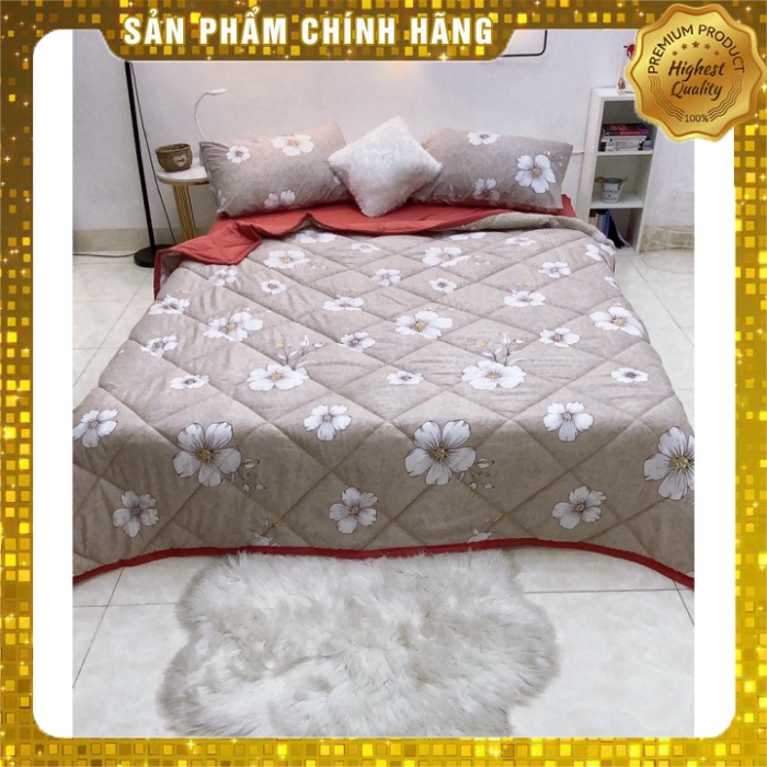 Set chăn ga 5 món thun lạnh hàn quốc cực kỳ mềm mại dùng được 4 mùa nhiều màu sắc nhã nhặn | BigBuy360 - bigbuy360.vn