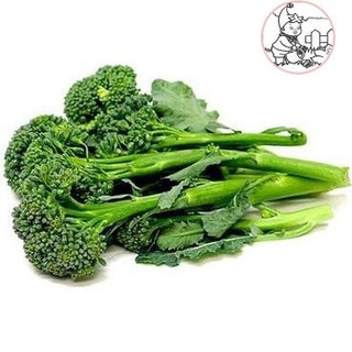 Hạt bông cải xanh mini - gói 1 gram
