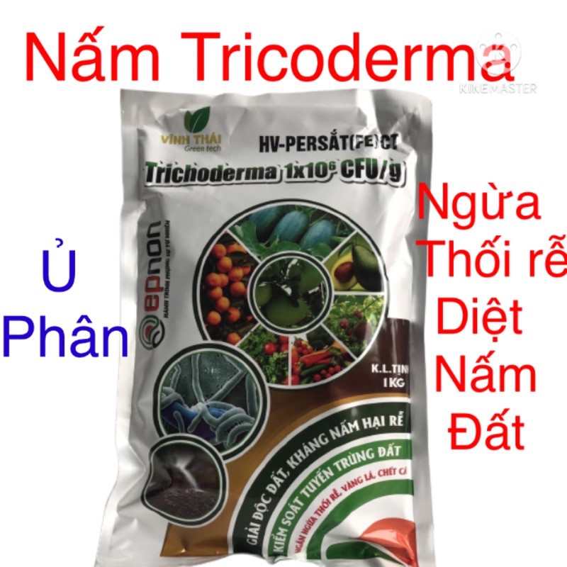 Nấm Trico (Tricoderma) Xử Lý Đất, Ủ Phân, Ngăn Ngừa Vàng Lá, Thối Rễ  Trên Cây Ăn Quả, Hoa, Rau Màu gói 1kg