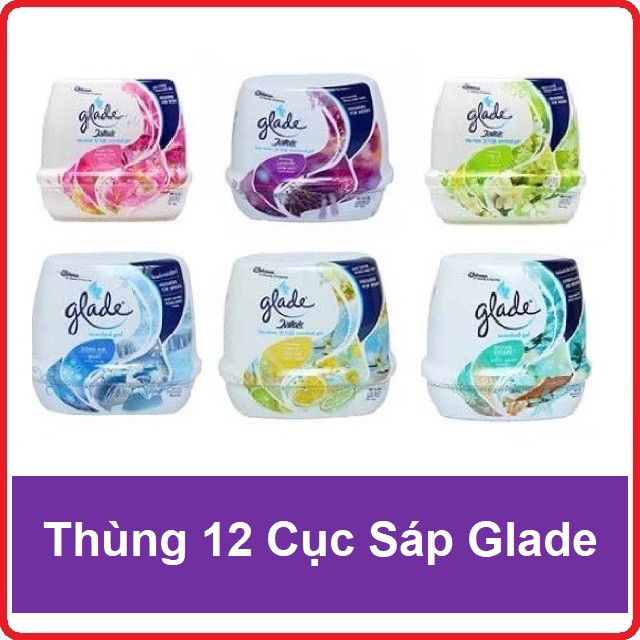 COMBO 12 CỤC SÁP THƠM PHÒNG GLADE 180G ( 12 CỤC / THÙNG )