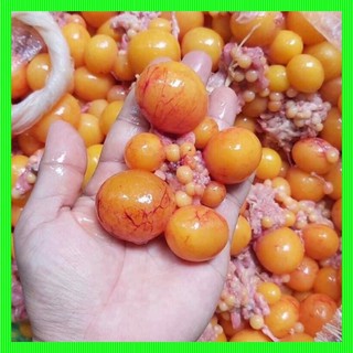 TRỨNG GÀ NON 500gr (hoả tốc HCM)