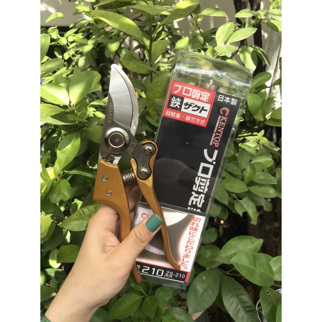 Kéo cắt cành cây chính hãng kentop sk5