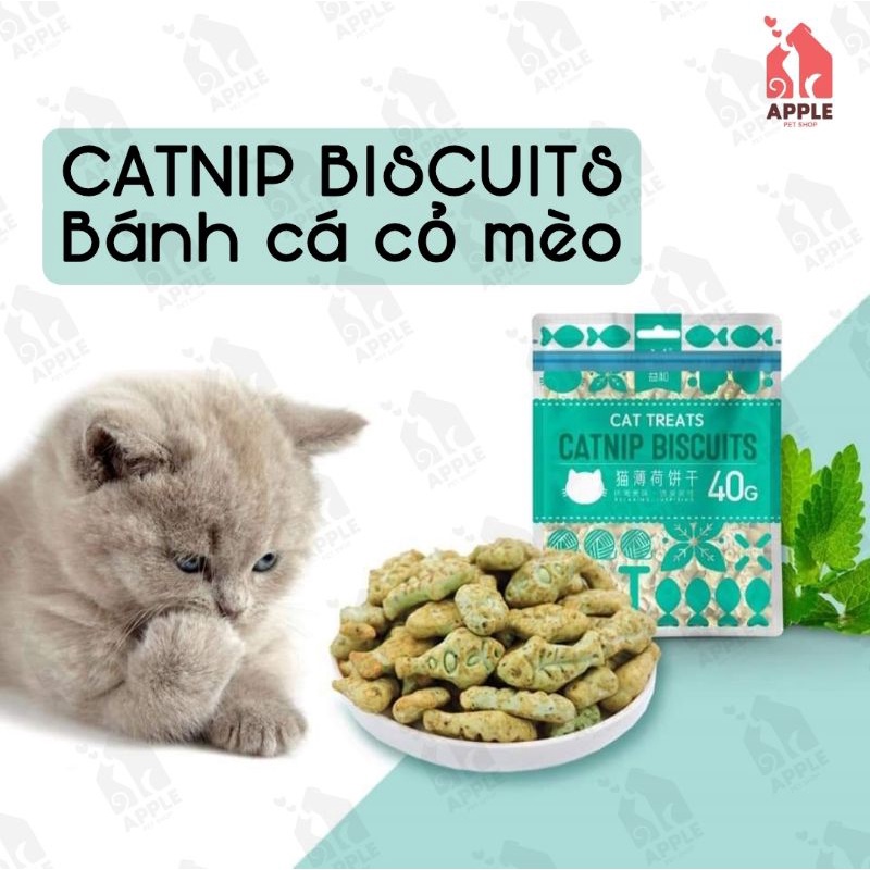 [CATNIP BISCUITS] [40GR] Bánh cá catnip - bánh thưởng cho mèo giảm búi lông, hôi miệng, làm sạch răng