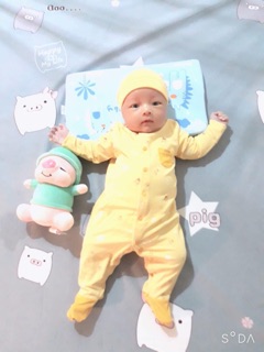 Nous BodySuit Có Tất Vàng Noel