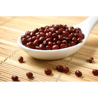 Hạt Giống Đậu Đỏ Sai Trái (50G)
