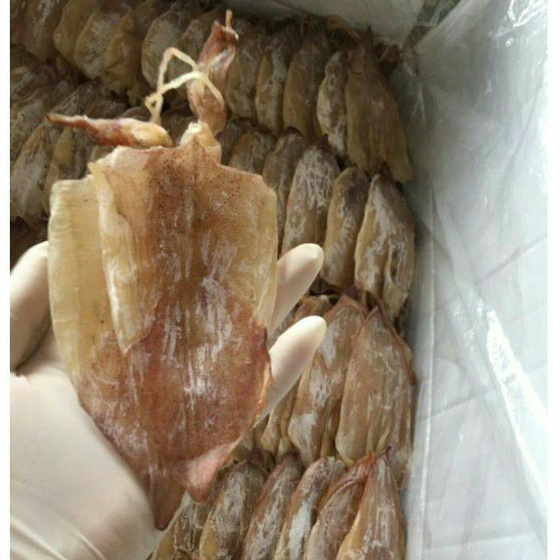 Mực Khô Câu size 90 con/kg Mới Về Dày Cơm Thơm Rất Ngọt Mực - Lẻ 1 con | BigBuy360 - bigbuy360.vn