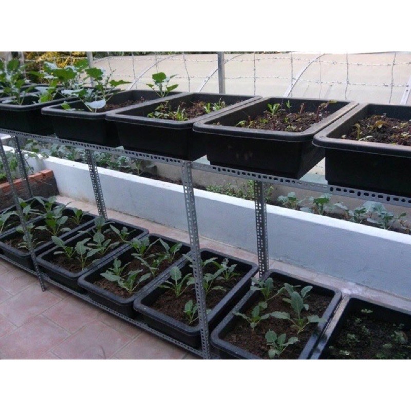 5 chậu trồng rau có lót đáy