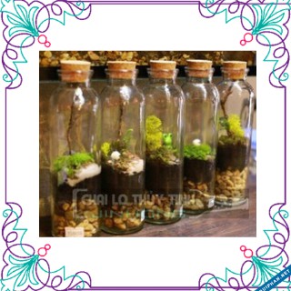 Bình thủy tinh tròn nút gỗ 350ml