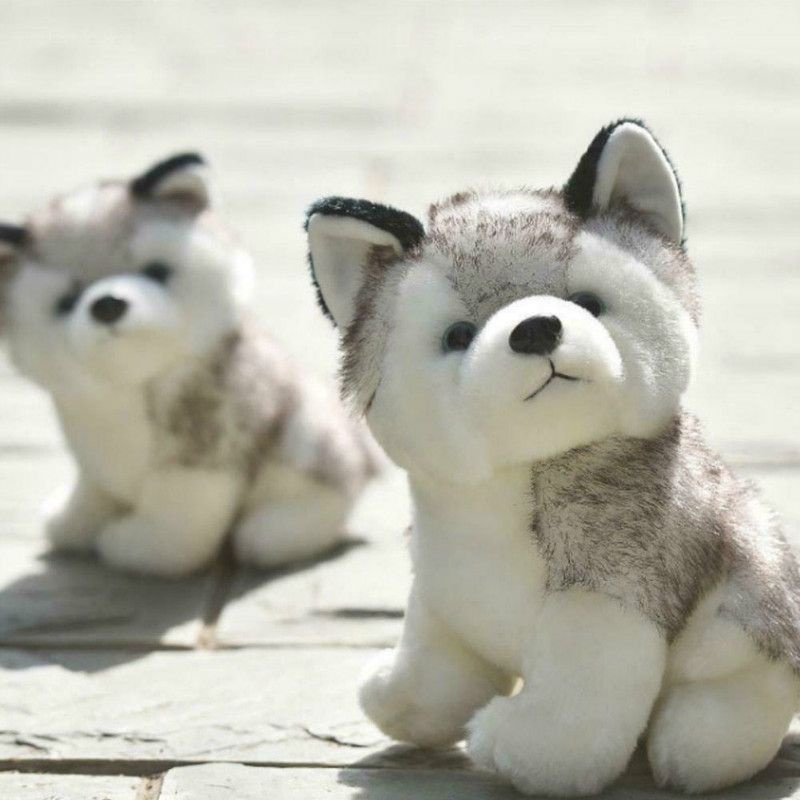 Chó Husky Nhồi Bông Mềm Mại Dễ Thương