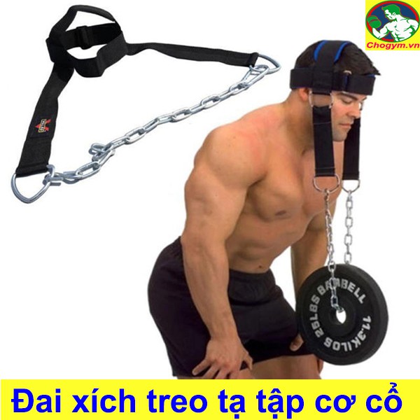 Đai Xích Treo Tạ Tập Cơ Cổ Head Harness