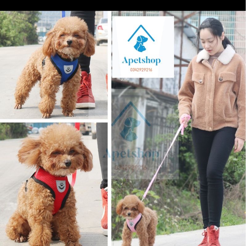 Dây dắt kèm yếm ngực chó mèo cưng đi dạo, Đai yếm áo Vest cho chó vải lưới thoáng khí nhiều màu sắc hot trend 2023