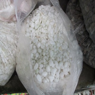 sỏi trắng nhỏ 1kg