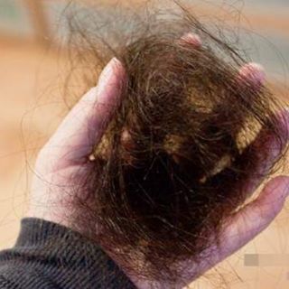 Dầu gội đầu Mộc Mây