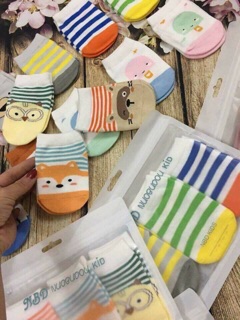 Set 3 đôi tất trẻ em NBD Kids