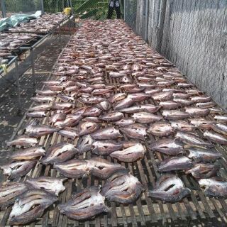 Khô cá lóc Đồng Tháp 500g