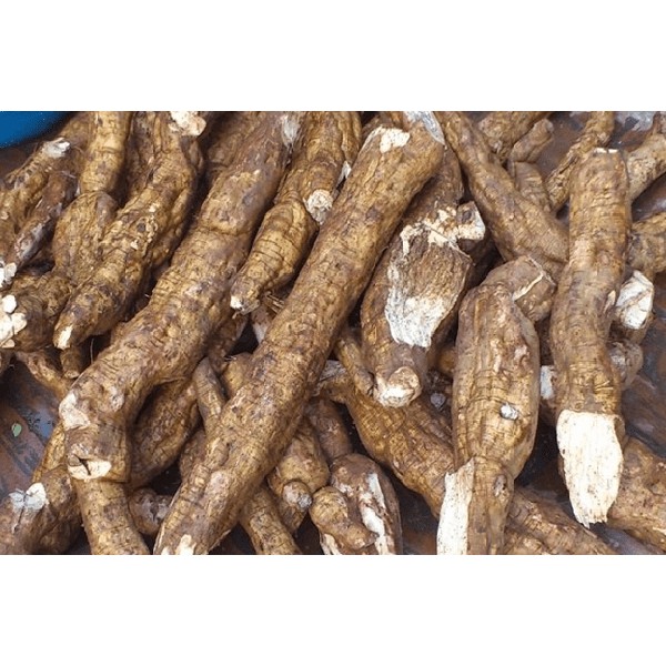 Tinh bột sắn dây nguyên chất 100g - 1000g