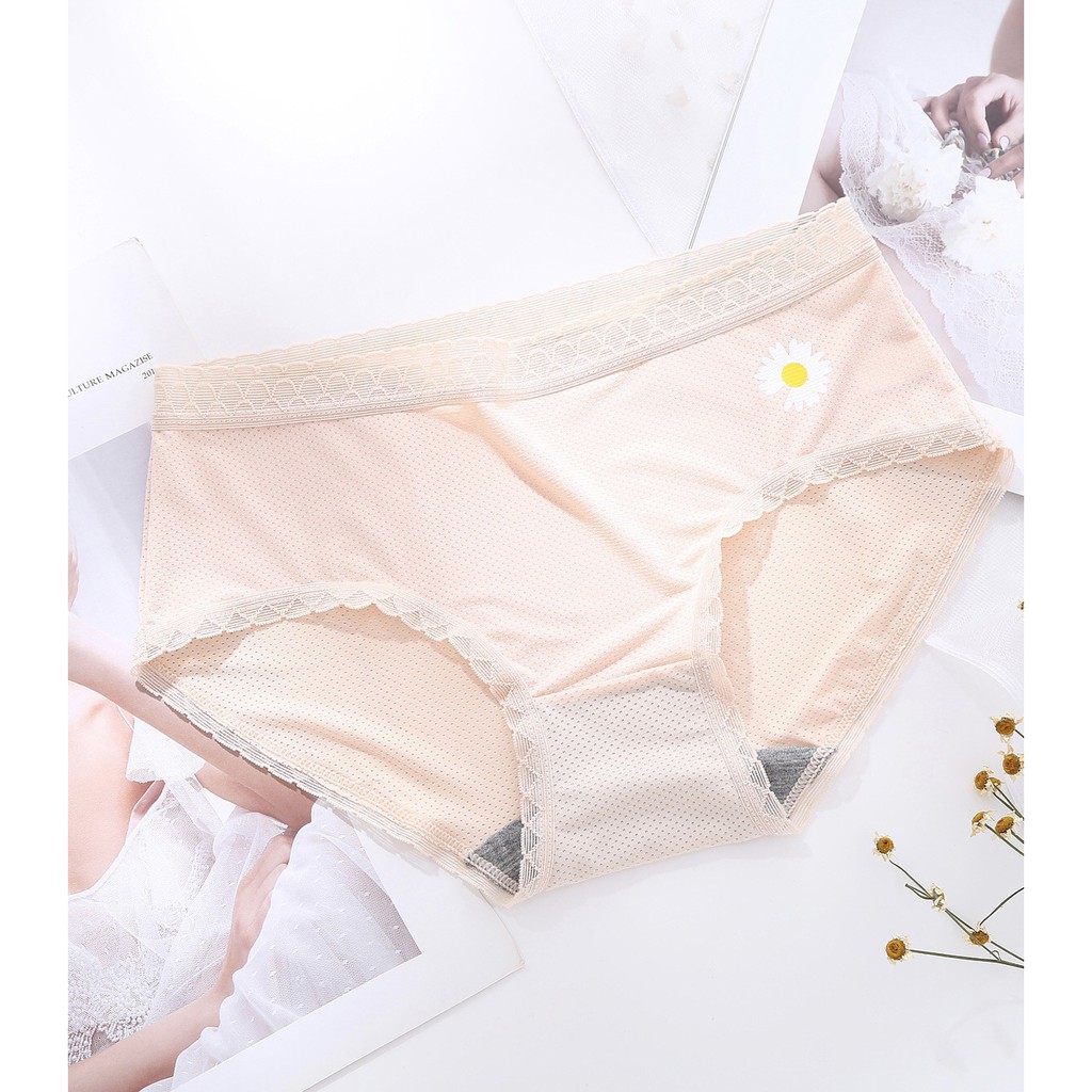 Quần Lót Nữ Su Đúc Thông Hơi Hoa Cúc Kháng Khuẩn Túi Zip Riêng Biệt - Quần Lót Nữ AirBra Kháng Khuẩn | BigBuy360 - bigbuy360.vn