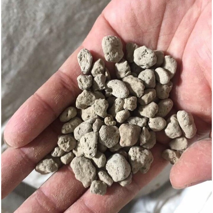 1kg Đá bọt Pumice Indonesia (đá thấm thủy, đá lông vũ, nham thạch trắng, đá núi lửa, đá ngậm nước...)