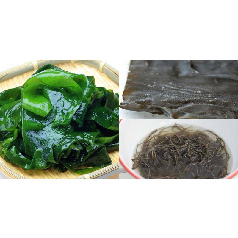 TẢO BẸ (Phổ Tai) KOMBU 100gram