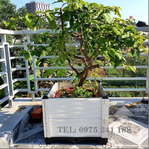 CHẬU GHÉP THÔNG MINH TRỒNG RAU, TRỒNG CÂY 50X50 CAO 39CM, SANG TRỌNG, ĐỘ BỀN CAO