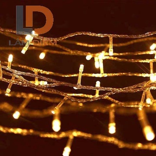 ĐÈN LED DÂY KÍN NƯỚC KHÔNG CHỚP MÀU VÀNG DÀI 10M 80 BÓNG LED CÓ NỐI