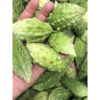 Mướp đắng rừng tươi 150k/4kg