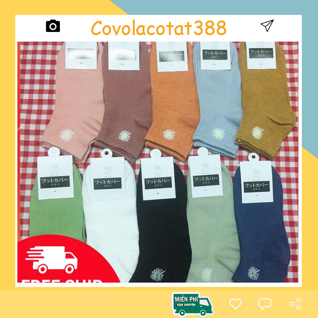 Tất ngắn cổ nữ hoa cúc siêu xinh - ⚠️ Giá siêu rẻ - ⚠️ ĐƠN TỪ 50K HỖ TRỢ FREE SHIP