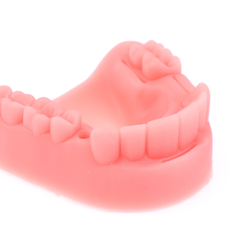 Bộ 4 Mô Hình Răng Giả Độc Đáo