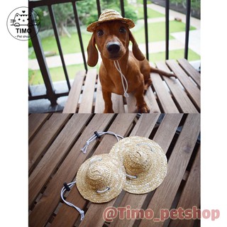 Nón Cói Cho Chó Mèo