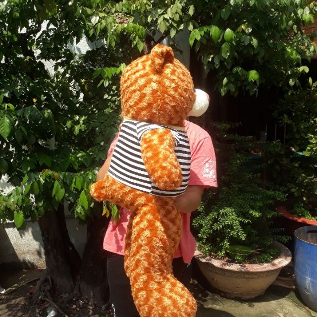 GẤU TEDDY NHỒI BÔNG CAO 108Cm