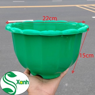 Chậu trồng cây treo size lớn