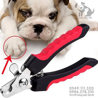 ✂️ Kìm cắt móng chân cho thú cưng + Dũa móng chân - Cutepets