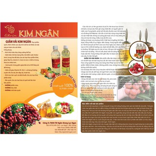 Giấm Mơ Kim Ngân