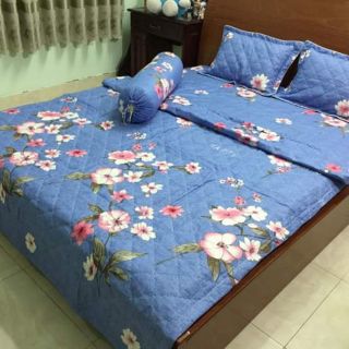 Ga trải giường M6 M8