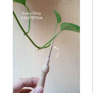 Dụng cụ chọc len(needle felting): kim chọc, kim chọc cán gỗ.