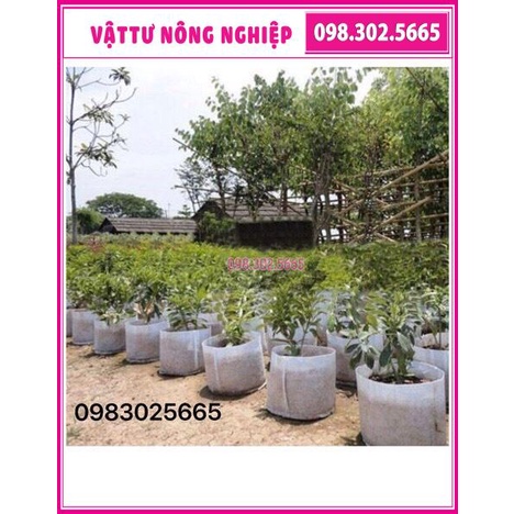 Set 5 túi vải trồng cây, hoa kích thước 50x40cm