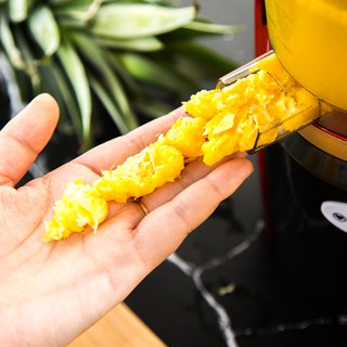 Máy ép trái cây chậm HongXin RH311