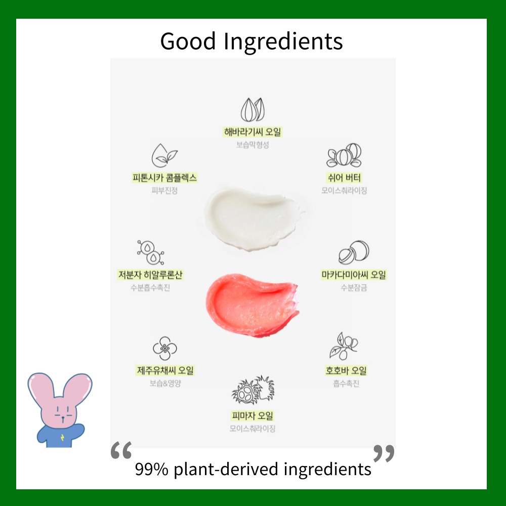 Son dưỡng môi VEGAN GREEN BALM 2 loại tùy chọn phong cách Hàn Quốc