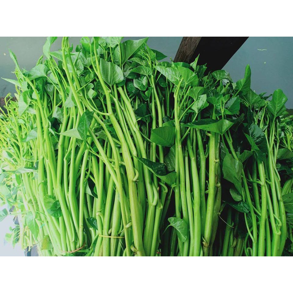 Rau Muống Chum Siêu Ngọn