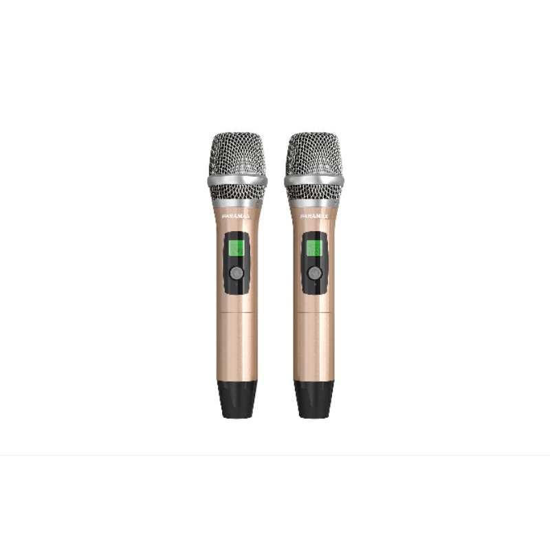 MICRO KHÔNG DÂY PARAMAX SM2500 SMART