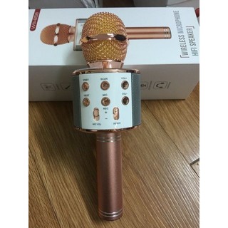 Micro karaoke kèm Loa Bluetooth WS-858