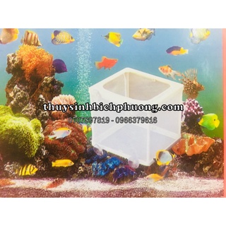 LỒNG DƯỠNG CÁ TÉP SIÊU RẺ TIỆN LỢI