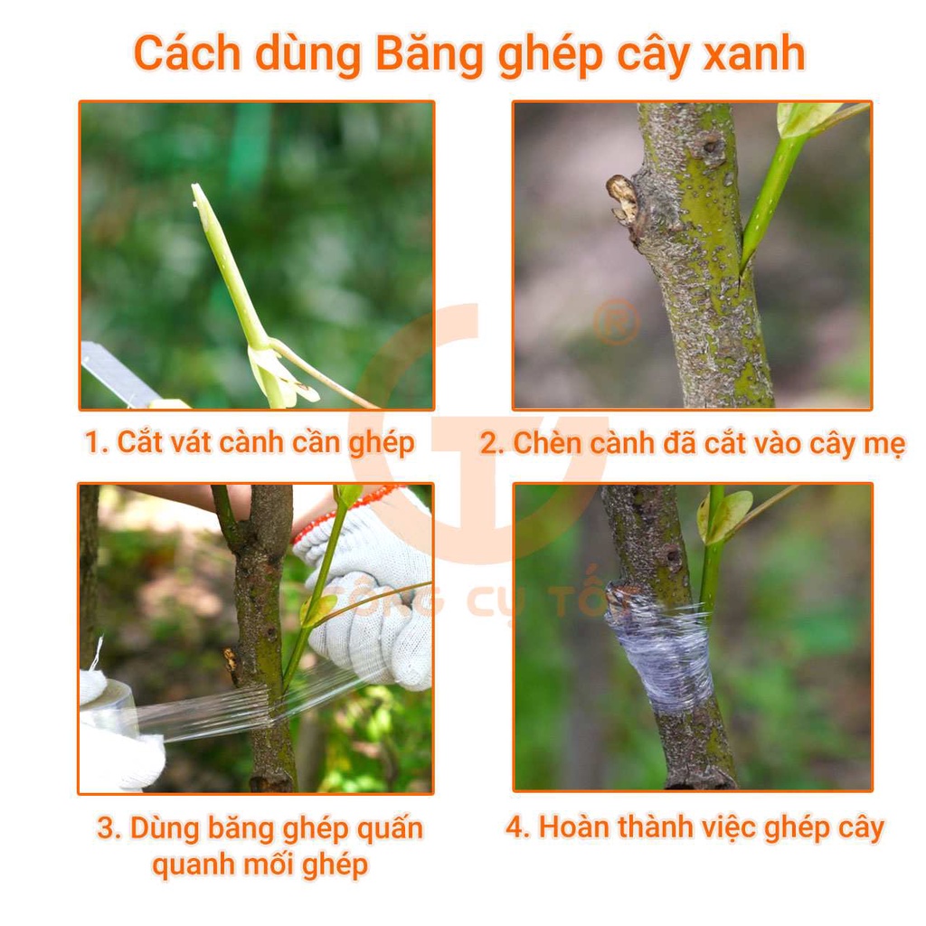 Băng keo/ băng dính ghép cây xanh tự dính tự hủy giúp bảo vệ mối ghép